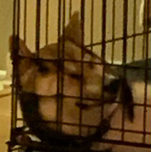 Meet your Posher, Jaidyn